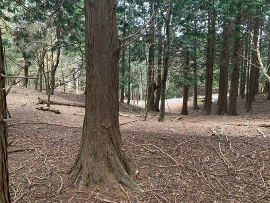 【外観】 | 東急天城高原別荘地　売地