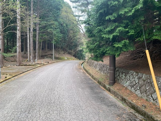 【前面道路含む現地写真】 | 東急天城高原別荘地　売地