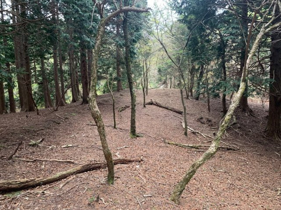 【外観】 | 東急天城高原別荘地　売地