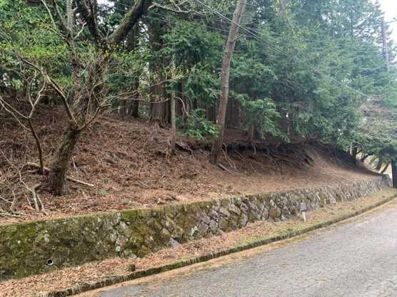 【前面道路含む現地写真】 | 東急天城高原別荘地　売地