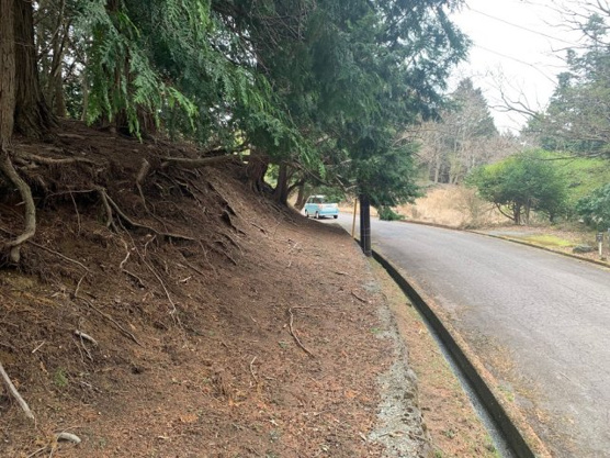 【前面道路含む現地写真】 | 東急天城高原別荘地　売地