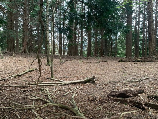 【外観】 | 東急天城高原別荘地　売地