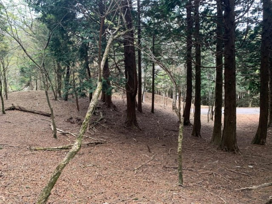 【外観】 | 東急天城高原別荘地　売地