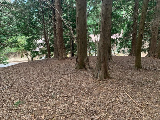 【外観】 | 東急天城高原別荘地　売地