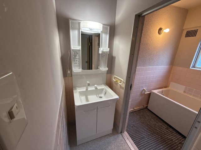 アートマンションの洗面所