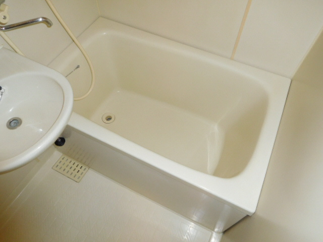 ハイネスモンの浴室