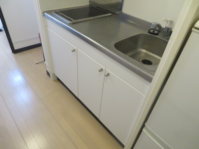 レオネクストナバノのキッチン
