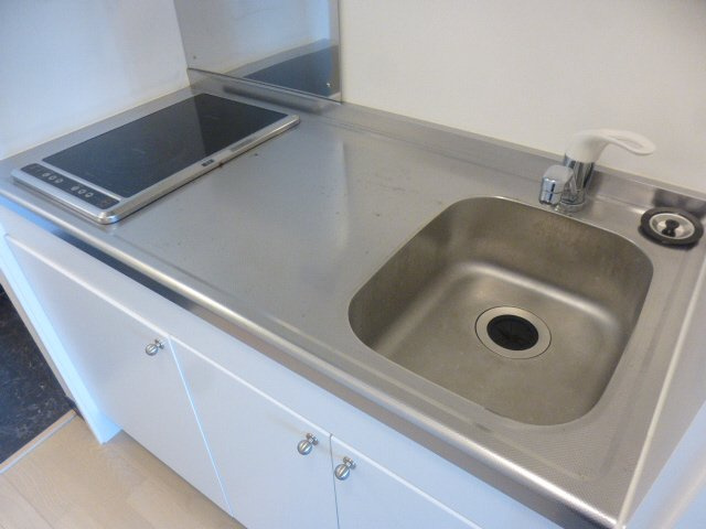 レオネクスト城見橋ハイツのキッチン