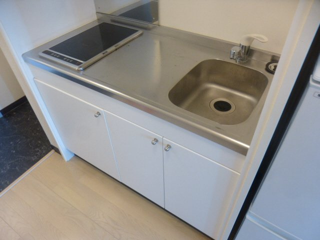レオネクスト城見橋ハイツのキッチン