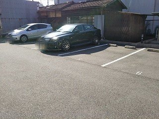 レオネクストブルースカイのその他