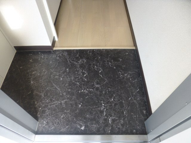 レオネクスト城見橋ハイツの玄関