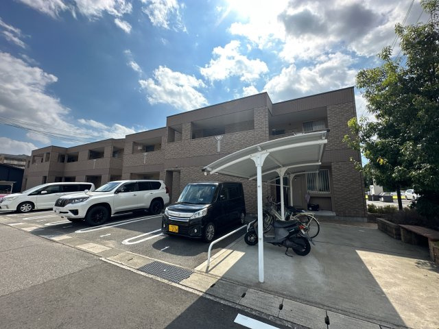 アンプルールの展望
