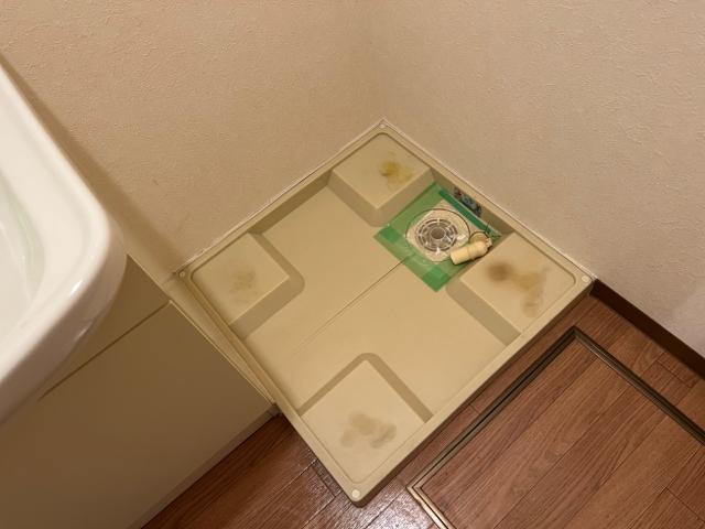レインボーパレスⅠのその他|洗濯機置場