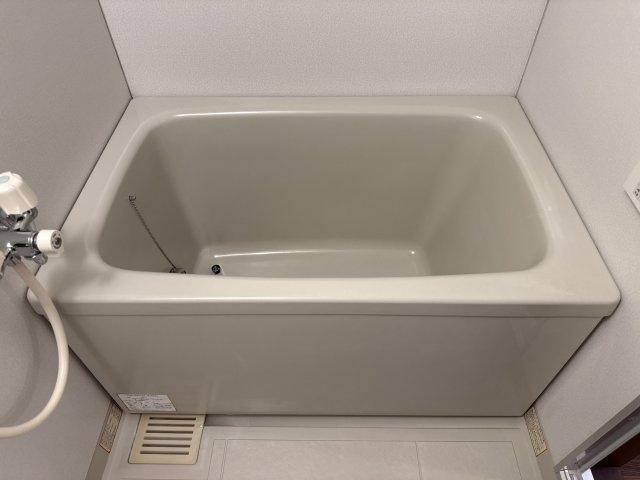 プロニティハウスの浴室