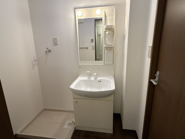 プロニティハウスの洗面所