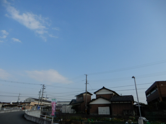 ブラウンシャトーの展望