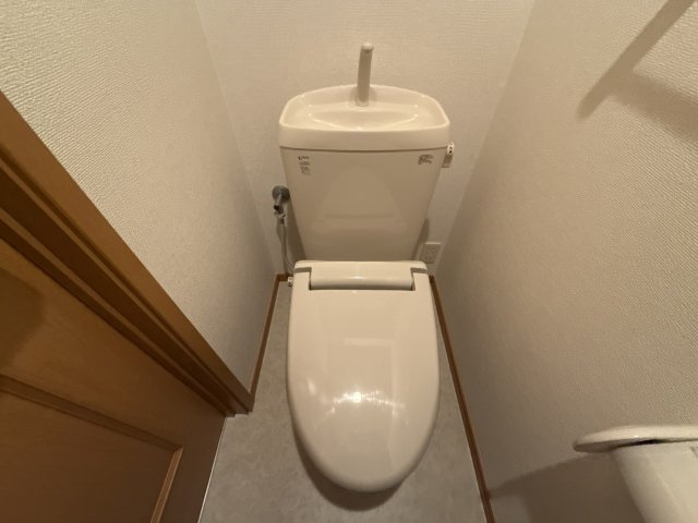 メゾンプラージュⅡのトイレ