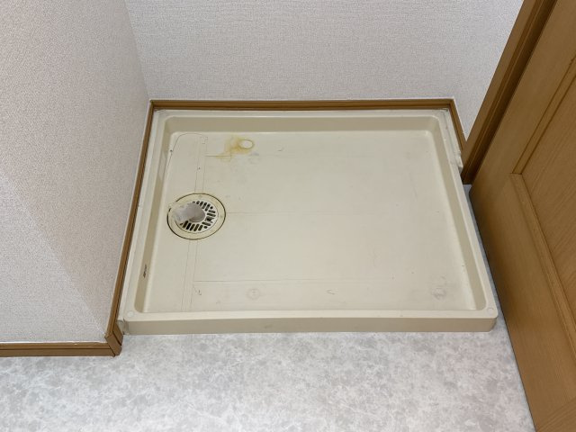 アンジェリカⅠのその他
