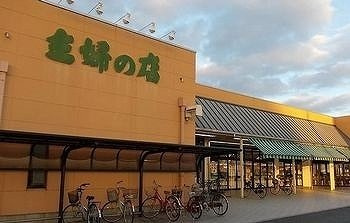 オイコスオニロ田井の周辺|主婦の店まで1100m