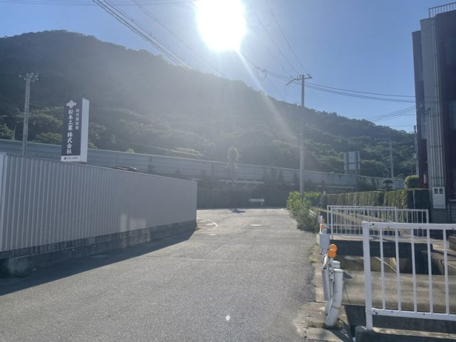 フィオレンティーナⅢの展望