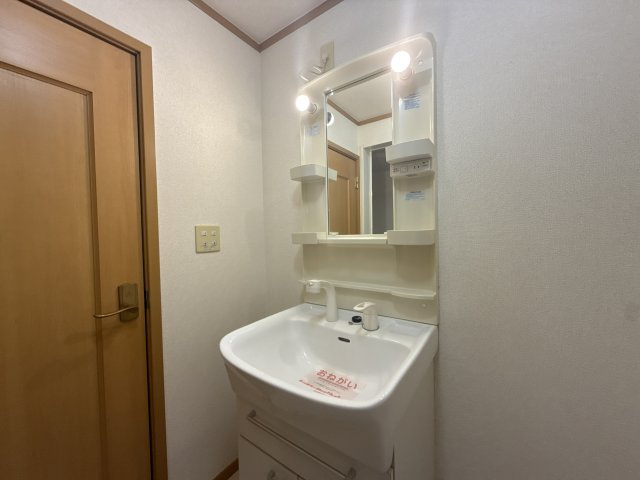井ノ口ハイツⅡの洗面所