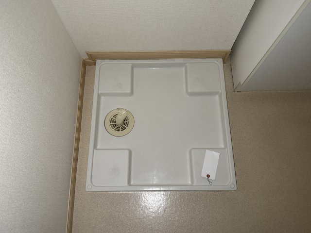 フィオレンティーナのその他