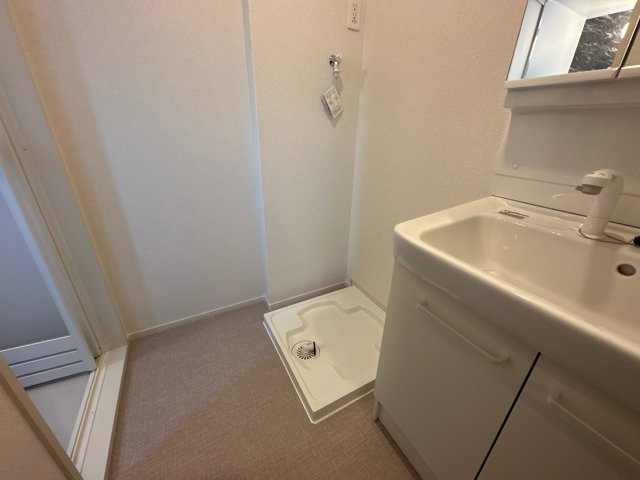 メゾン・カルムＢの洗面所