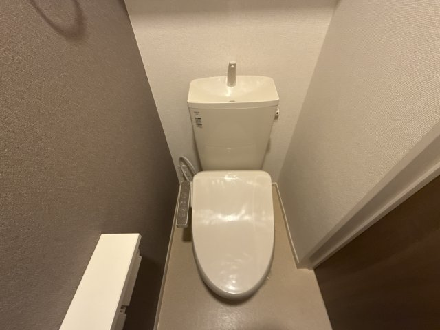ヴィラ　ドゥ　グレーヌ梅ケ谷Ｄのトイレ