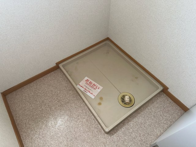 コータ・コートのその他