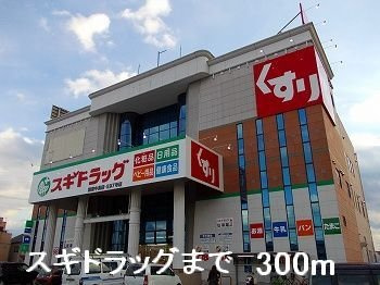サンリットの周辺|スギドラッグまで300m