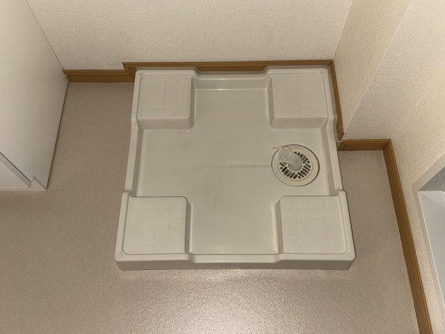 サンフローラＢのその他