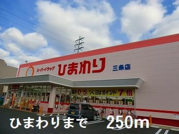 サンフレッチェ南条Ｂの周辺|ひまわりまで250m