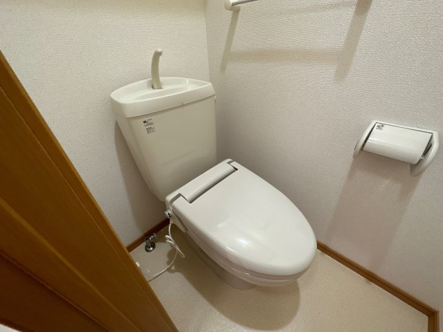 パレ・ロジュマンのトイレ