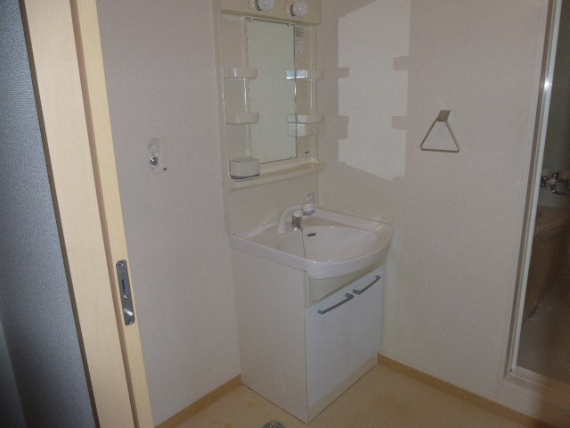 カーサトレスA棟の洗面所