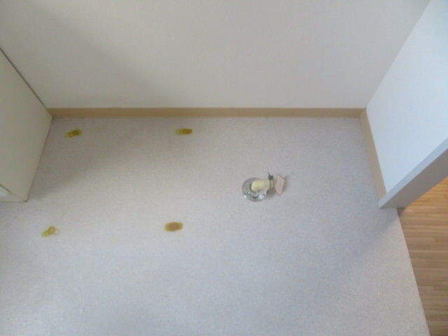 コスモポートのその他