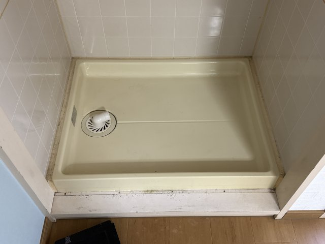 セントポーリアのその他