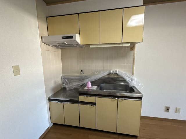 セントポーリアのキッチン