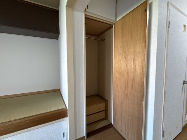 セントポーリアの収納