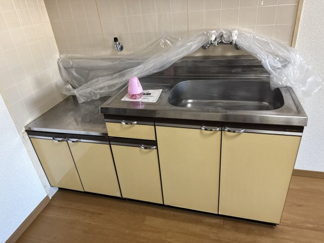 セントポーリアのキッチン