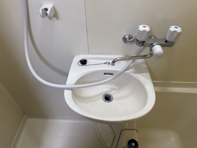 セントポーリアの洗面所