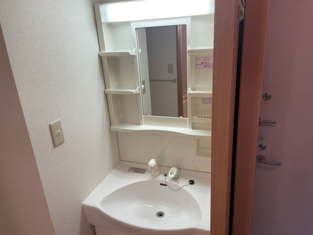 シャルマンプレイスの洗面所