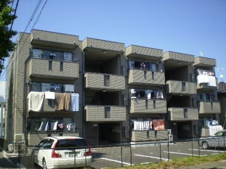 シェレンバームの画像