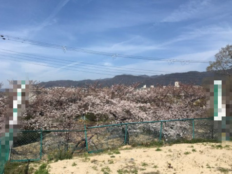 松園町 1号地 売土地の外観