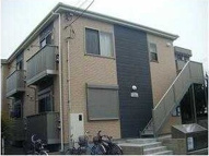 アムール　ひなゆりの画像