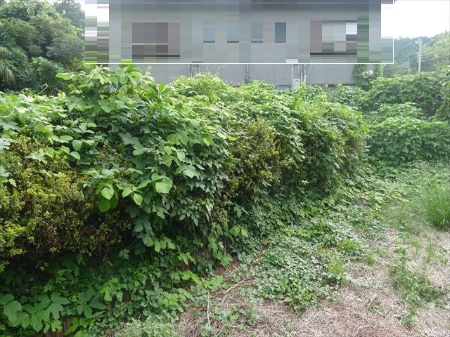玖須美元和田　土地　750万円の外観