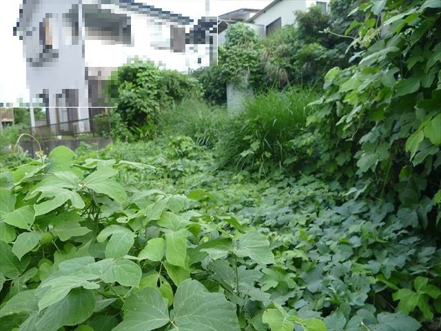玖須美元和田　土地　750万円のその他