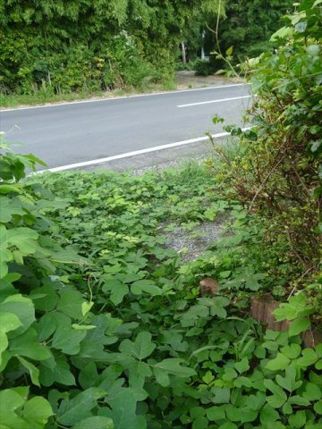 玖須美元和田　土地　750万円のその他