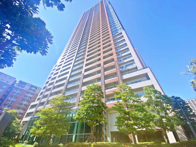 湘南新宿ライン宇須「武蔵小杉」THE KOSUGI TOWERの画像