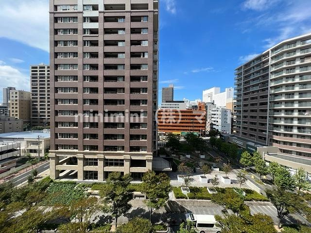 ロイヤルパークス桃坂の展望