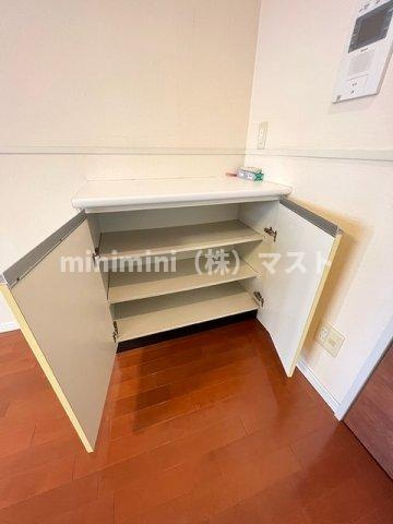 ロイヤルパークス桃坂の収納